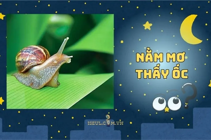 Nằm Mơ Thấy Ốc: Điềm Báo Gì Đang Chờ Bạn 2025