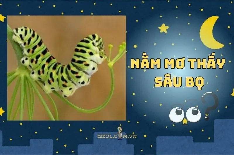 Nằm Mơ Thấy Sâu Bọ Là Điềm Gì? Bật Mí Ý Nghĩa Thú Vị 2025