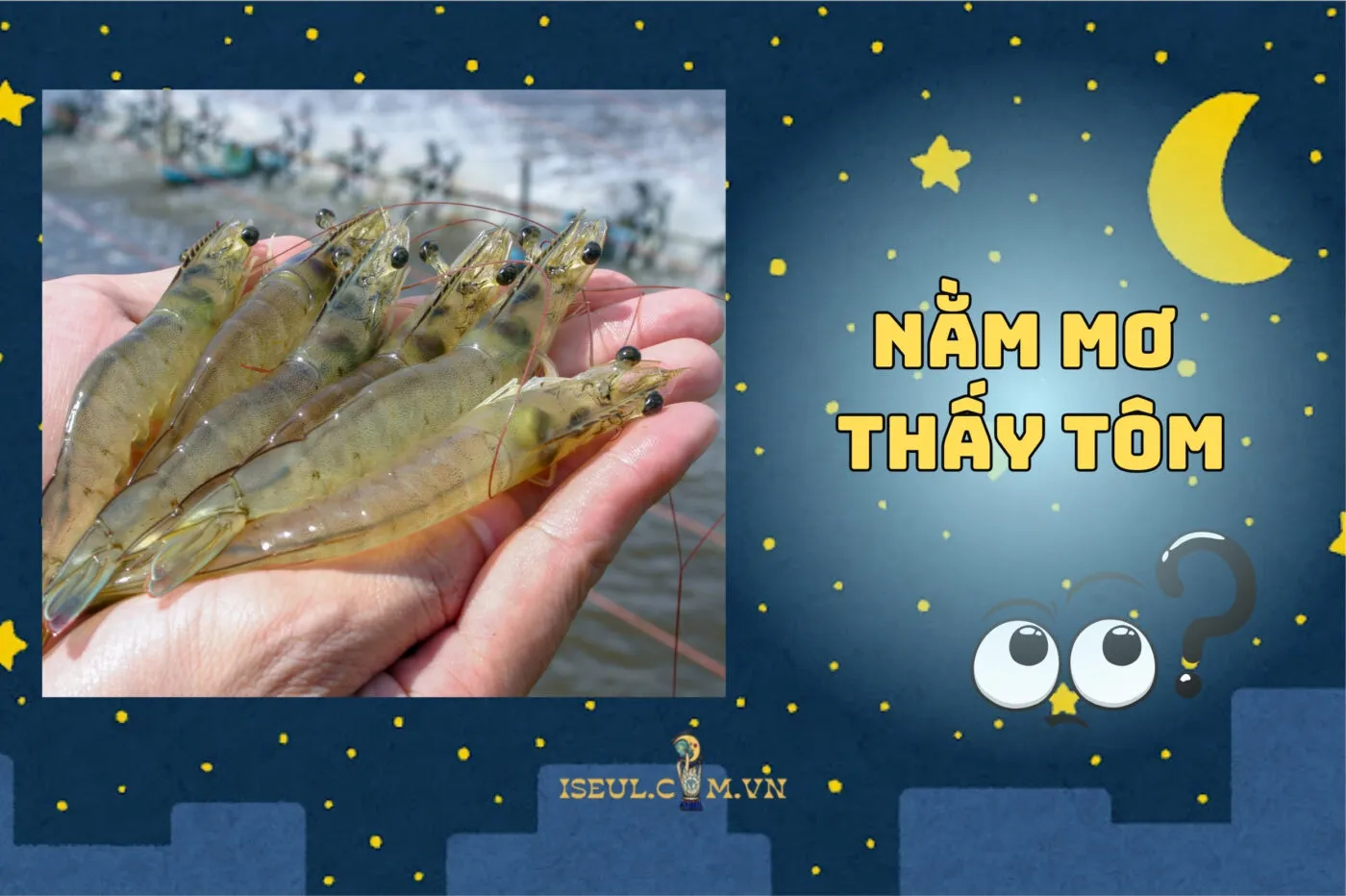 Nằm mơ thấy tôm là điềm gì? Giải mã ngay ý nghĩa giấc mơ thấy tôm 2025