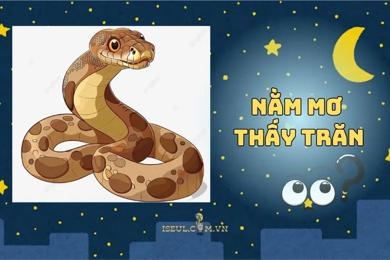 Nằm Mơ Thấy Trăn: Dấu Hiệu Tài Lộc Hay Cảnh Báo 2025