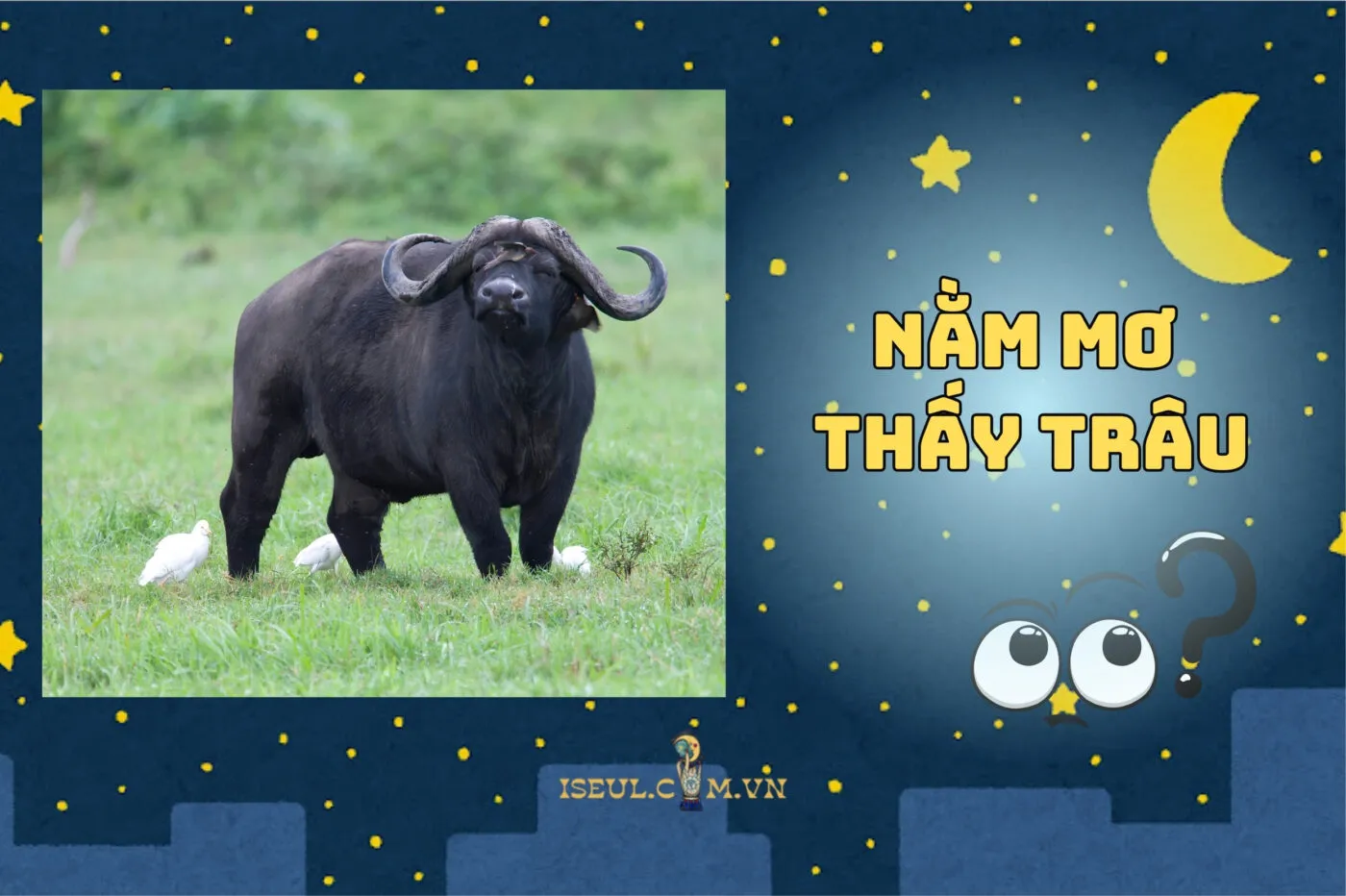 Nằm mơ thấy trâu là điềm gì? Khám phá ngay con số may mắn 2025