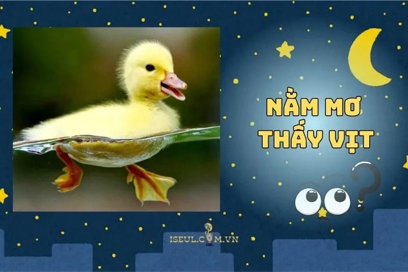 Nằm Mơ Thấy Vịt: Báo Hiệu Điều Gì Trong Cuộc Sống Của Bạn 2025