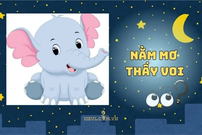 Nằm Mơ Thấy Voi: Điềm Báo May Mắn Hay Rắc Rối 2025
