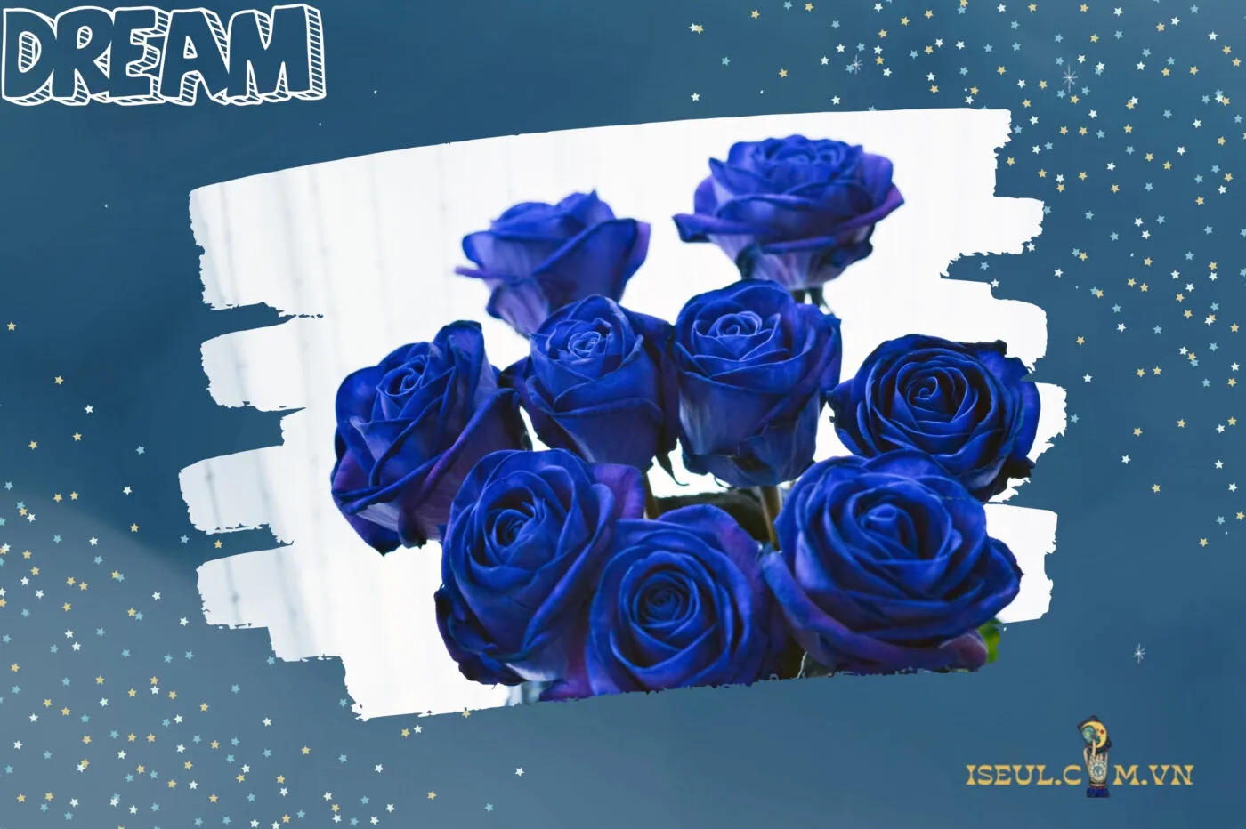 Những màu sắc khác của cây hoa hồng trong mơ