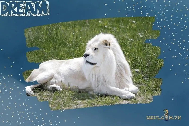 Những Tình Huống Cụ Thể Trong Giấc Mơ Thấy Sư Tử và Ý Nghĩa Của Chúng