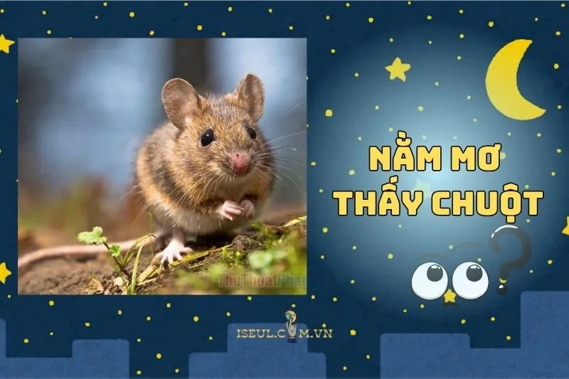 Tại sao lại nằm mơ thấy chuột? Giải mã bí ẩn và con số may mắn 2025