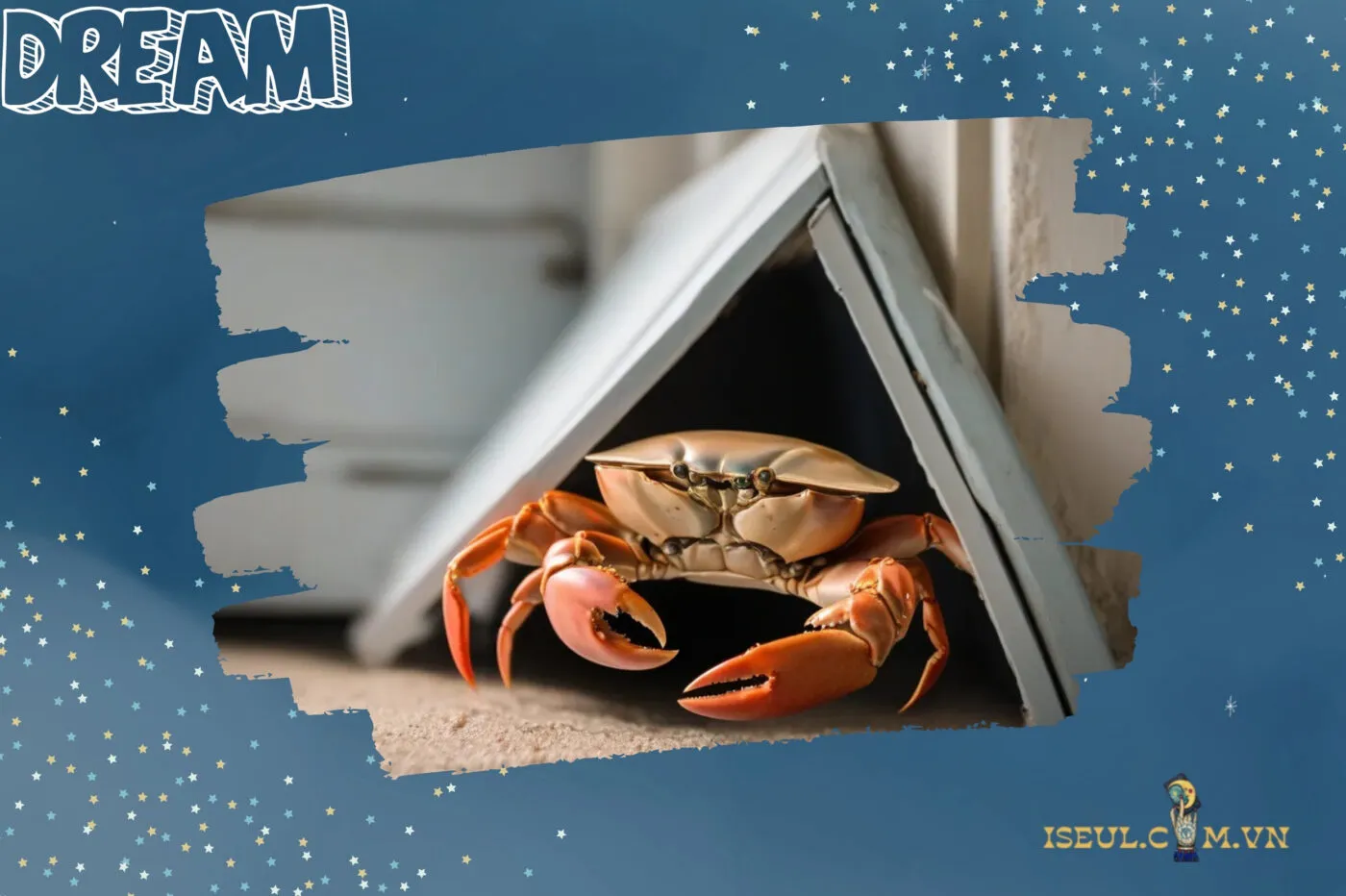 Ý nghĩa của việc nằm mơ thấy cua và những điềm báo quan trọng