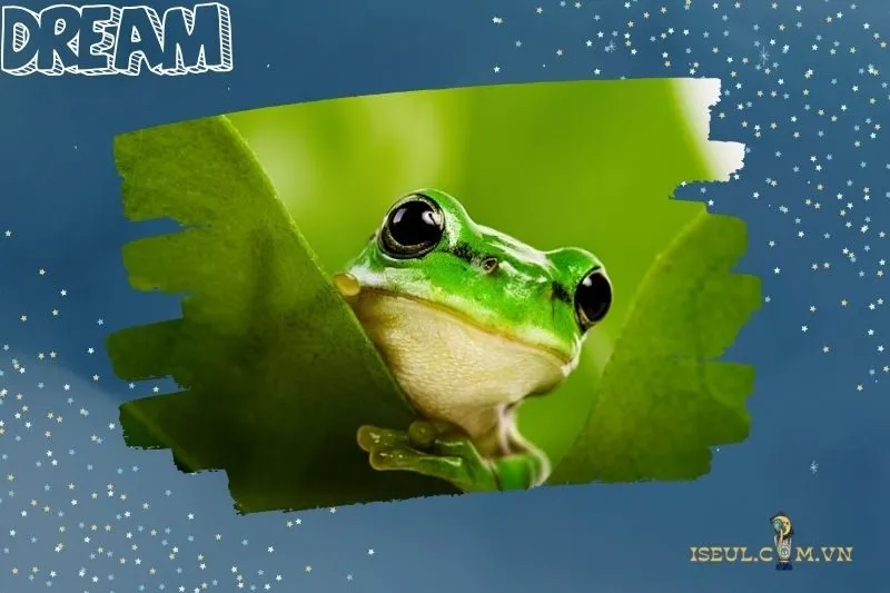 Ý Nghĩa Giấc Mơ Thấy Ếch và Điềm Báo Trong Cuộc Sống