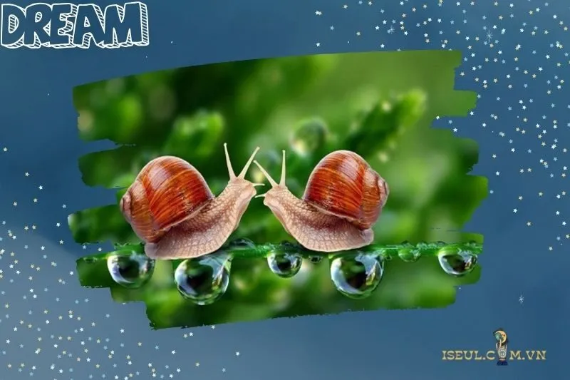 Ý nghĩa giấc mơ thấy ốc
