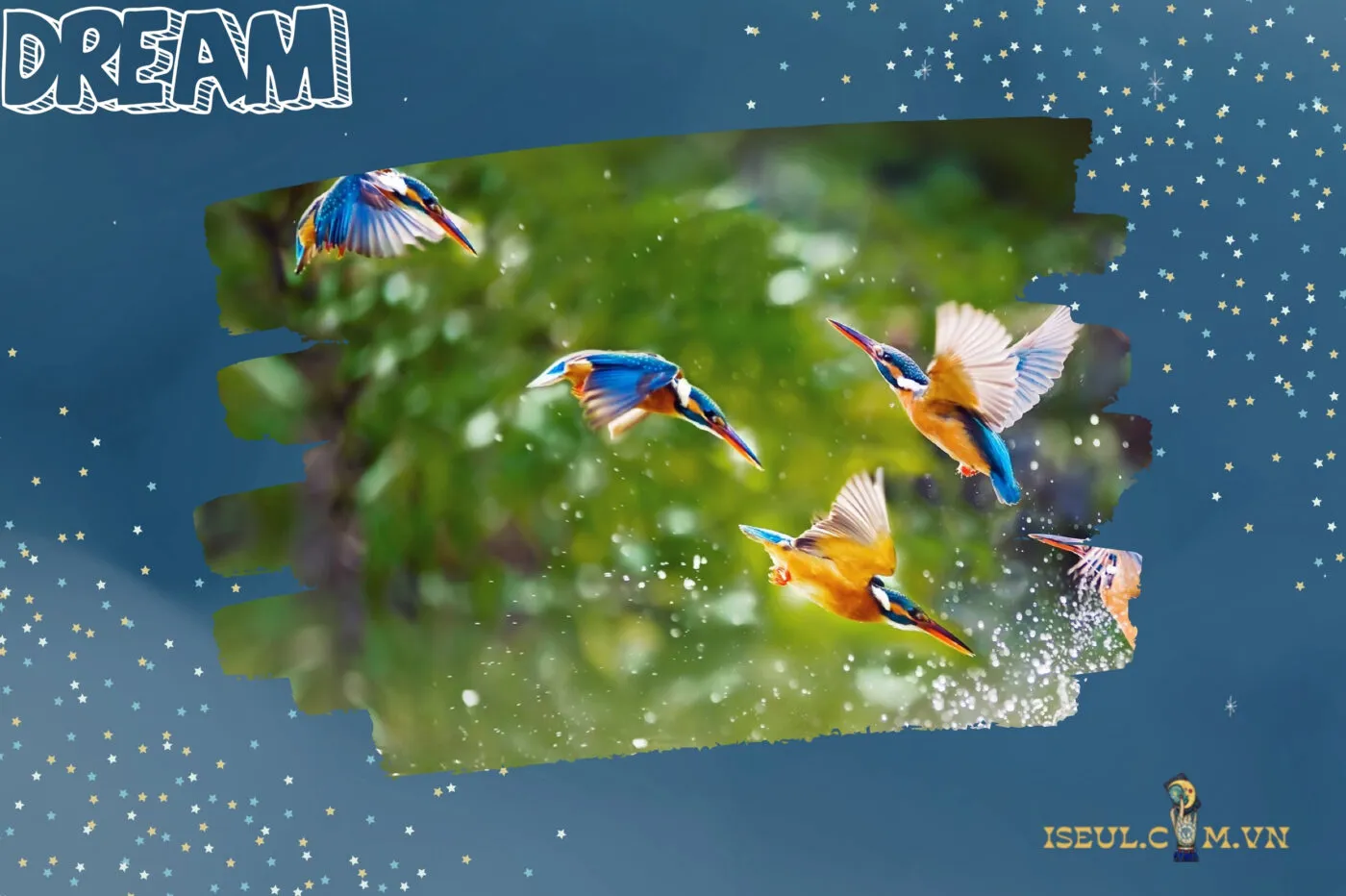 Ý nghĩa khi nằm mơ thấy chim: Điềm báo tốt hay xấu?