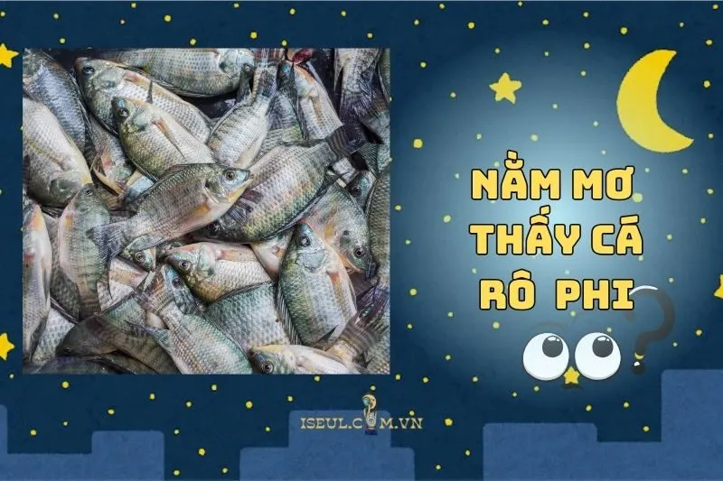 Bật mí điềm báo khi nằm mơ thấy cá rô phi 2025
