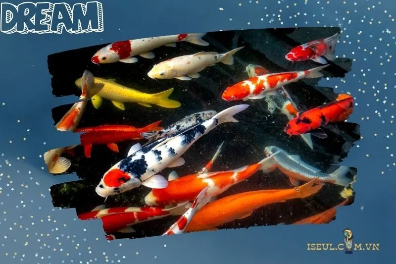 Các con số may mắn liên quan đến giấc mơ thấy cá koi