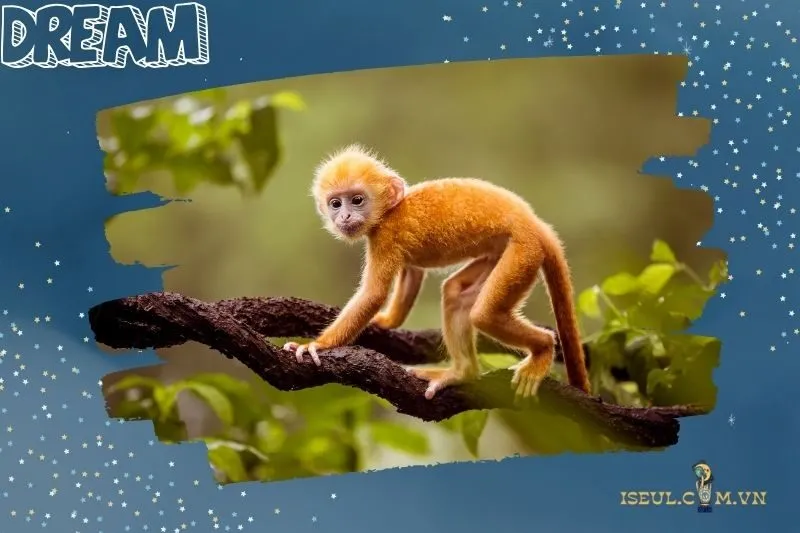 Các tình huống cụ thể khi nằm mơ thấy khỉ và ý nghĩa của chúng