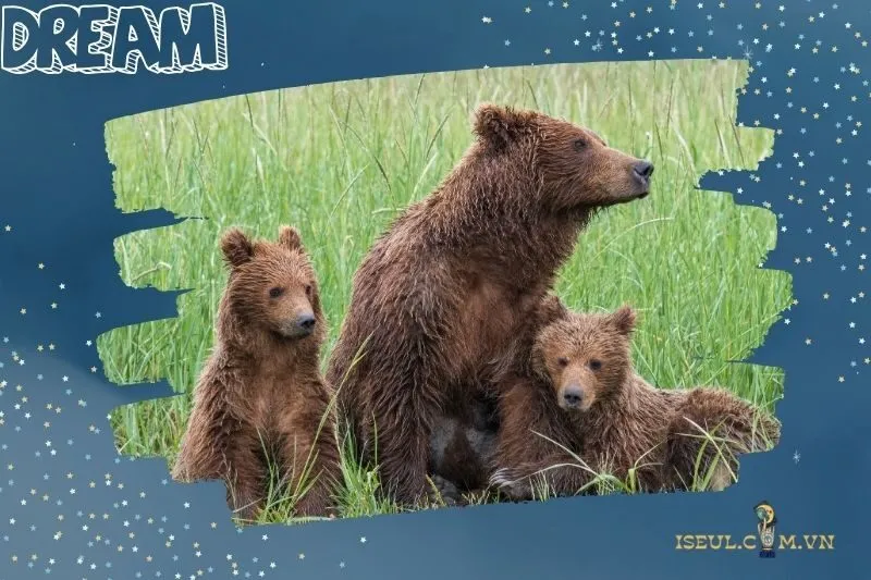 Chiêm bao thấy gấu chết