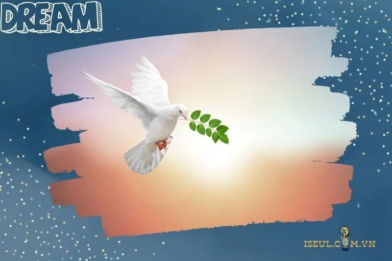 Con số liên quan đến giấc mơ thấy chim bồ câu