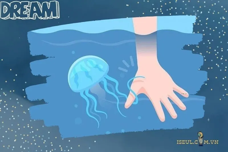 Con số may mắn khi nằm mơ thấy sứa biển