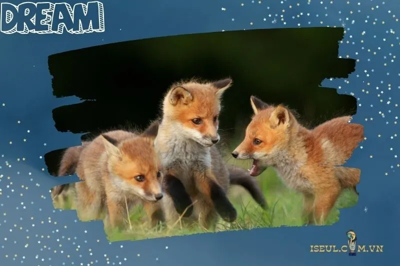 Điềm báo khi nằm mơ thấy cáo trong các tình huống cụ thể