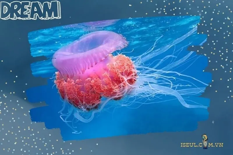 Điềm báo qua các tình huống nằm mơ thấy sứa biển