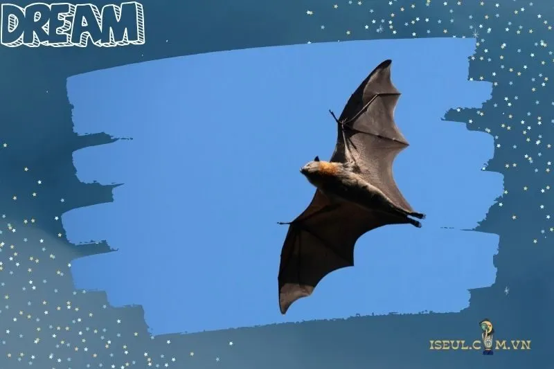 Giải mã chi tiết các trường hợp nằm mơ thấy con dơi