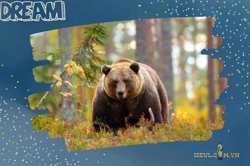 Giải mã từng tình huống khi nằm mơ thấy gấu