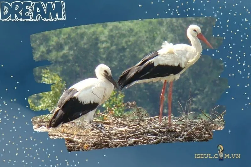 Hạc trong phong thủy và ý nghĩa tượng trưng