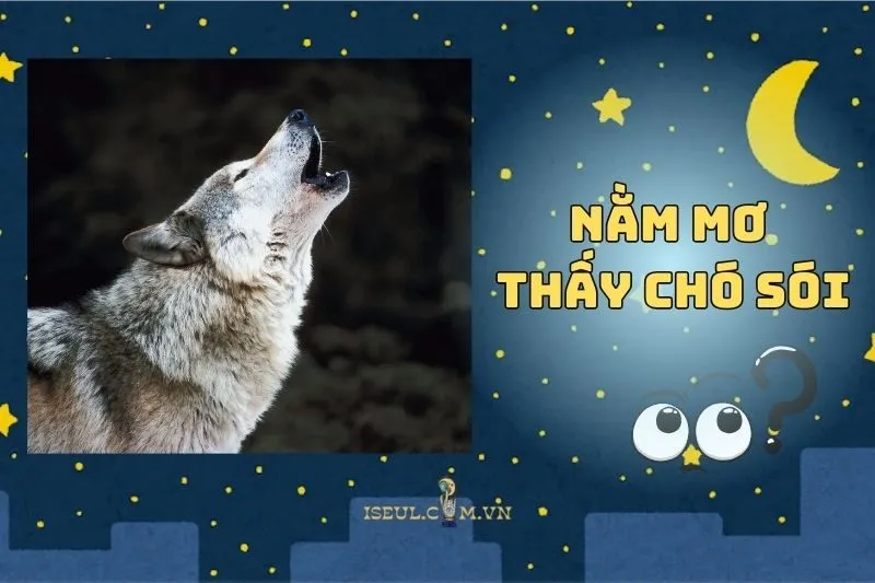 Khám Phá Bí Mật Khi Nằm Mơ Thấy Chó Sói 2025
