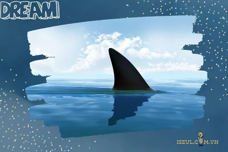 Mơ thấy mình đang săn cá mập