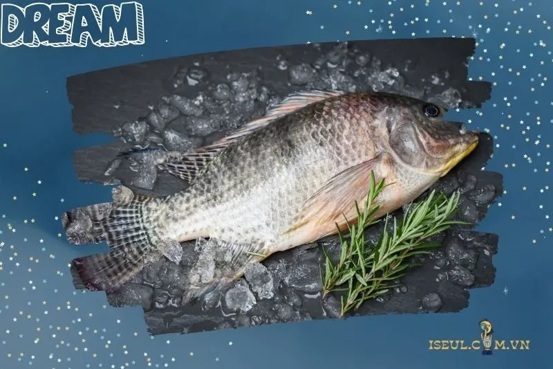 Nằm mơ thấy cá rô phi và con số may mắn