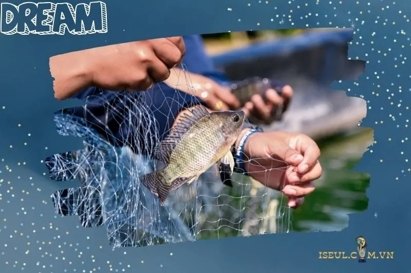 Nằm mơ thấy cá rô phi: Ý nghĩa và điềm báo quan trọng