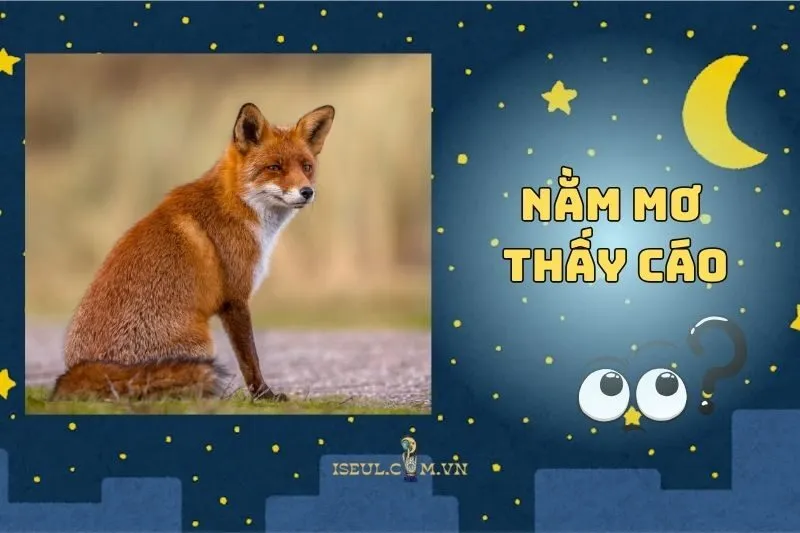 Nằm mơ thấy cáo: Cảnh báo hay dấu hiệu của sự may mắn 2025