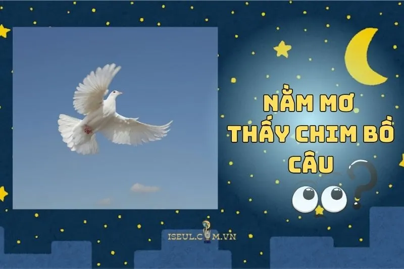 Nằm Mơ Thấy Chim Bồ Câu: Hòa Bình, Hạnh Phúc Hay Cảnh Báo 2025