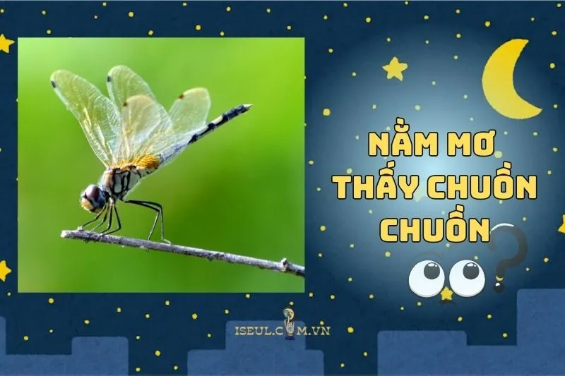 Nằm mơ thấy chuồn chuồn: Thông điệp từ tiềm thức 2025
