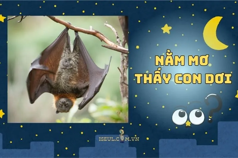Nằm mơ thấy con dơi: Biểu tượng của trực giác và tái sinh 2025