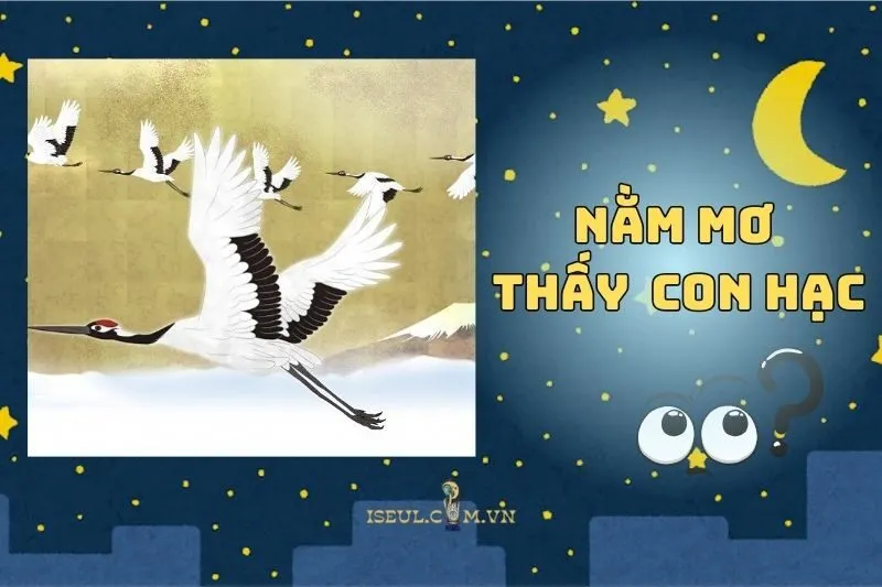 Nằm mơ thấy con hạc: Biểu tượng trường thọ và thành công 2025