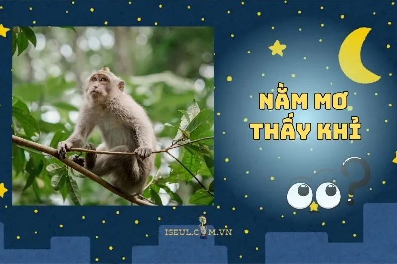 Nằm mơ thấy khỉ báo hiệu điều gì? Lời giải thích chi tiết 2025