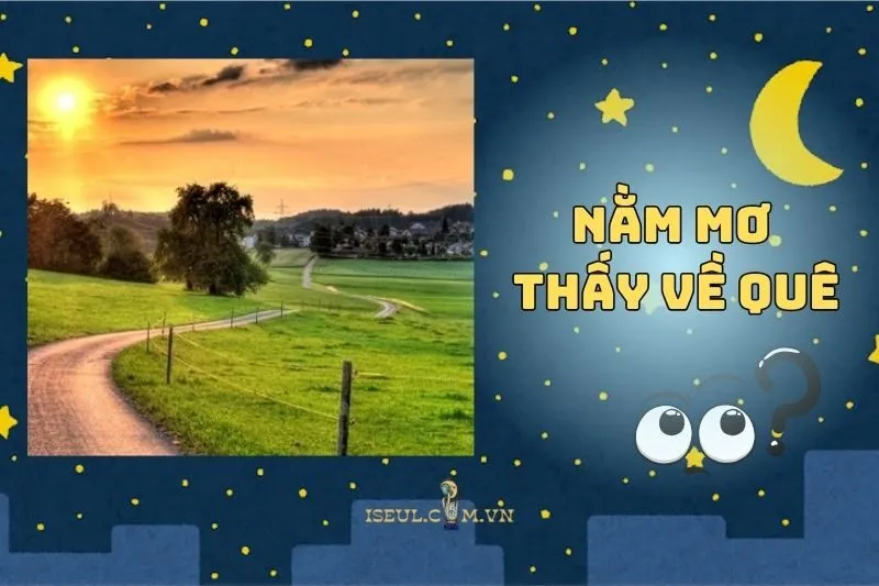 Nằm mơ thấy về quê báo hiệu điều gì? Điềm lành hay thử thách 2025