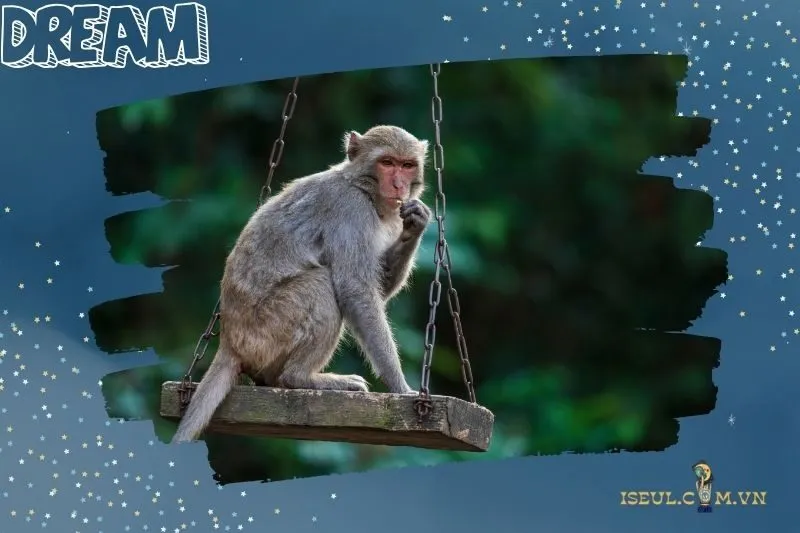 Những con số may mắn khi nằm mơ thấy khỉ