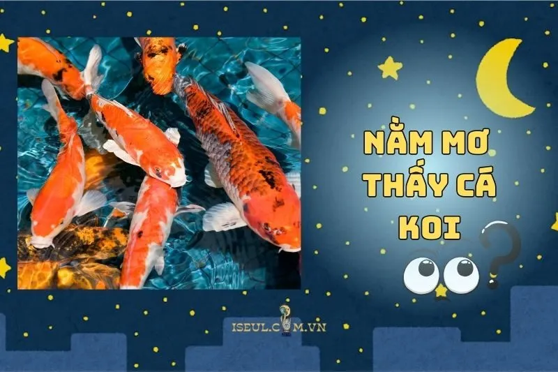 Tại Sao Bạn Nằm Mơ Thấy Cá Koi? Khám Phá Điềm Báo Tương Lai 2025