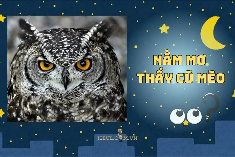 Tại Sao Bạn Nằm Mơ Thấy Cú Mèo? Câu Trả Lời Ở Đây 2025