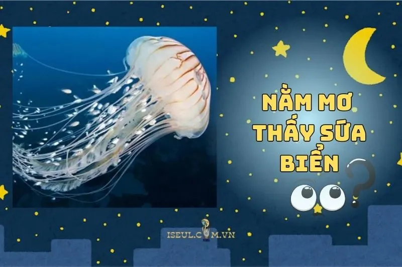 Thông điệp bí ẩn khi nằm mơ thấy sứa biển 2025