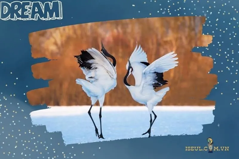 Ý nghĩa cụ thể của từng tình tiết trong giấc mơ thấy con hạc