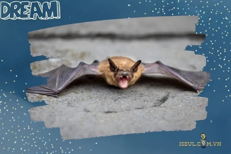 Ý nghĩa của việc nằm mơ thấy con dơi là gì?