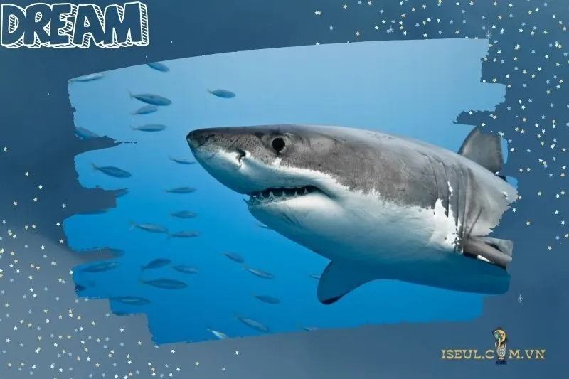 Ý nghĩa giấc mơ cá mập trong các hoàn cảnh khác nhau