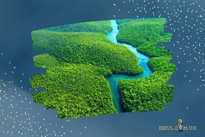 Cách hóa giải nếu mơ thấy rừng mang điềm xấu