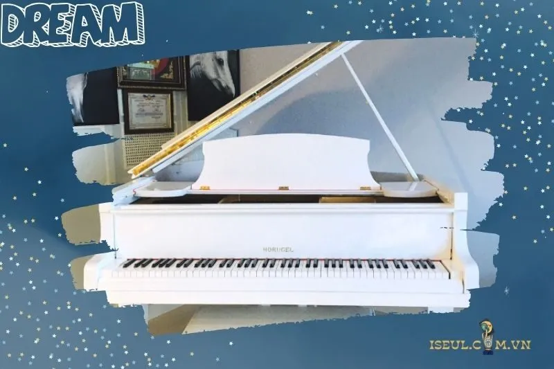 Chiêm bao thấy một cặp đàn nhưng bị mất một chiếc