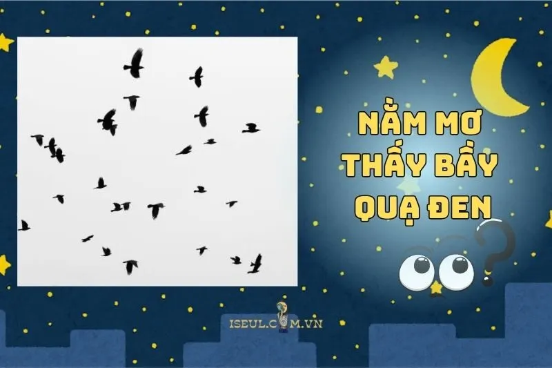 Giải Mã Nằm Mơ Thấy Bầy Quạ Đen: Ý Nghĩa Và Các Điềm Báo 2025