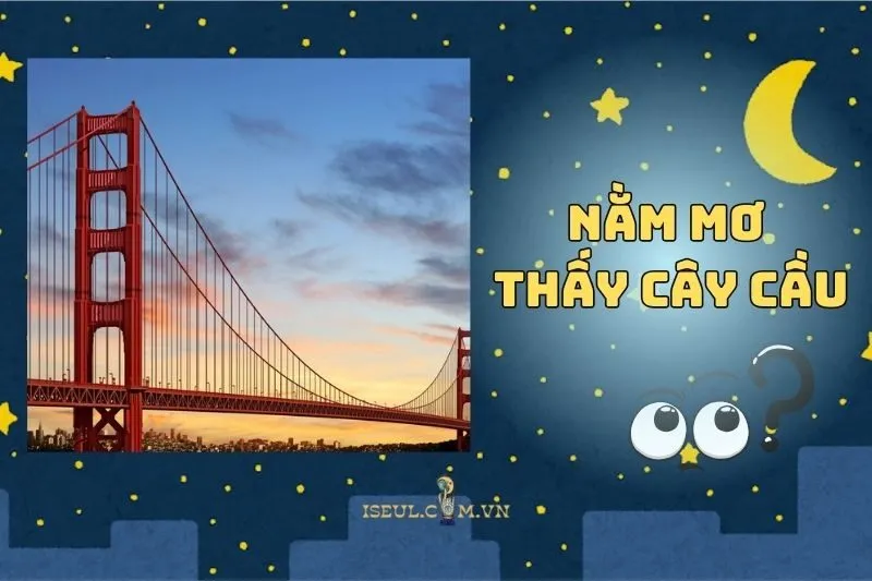 Giải mã nằm mơ thấy cây cầu: Dự báo vận mệnh và con số may mắn 2025
