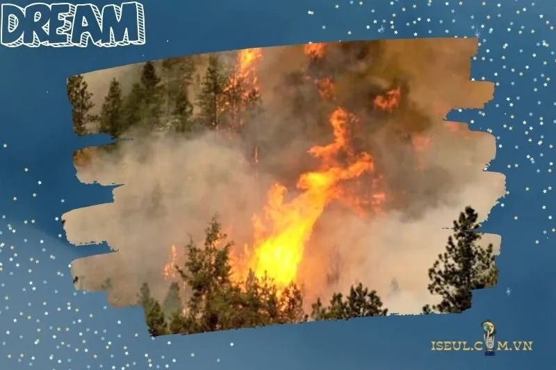 Giải mã từng tình huống khi nằm mơ thấy cháy rừng