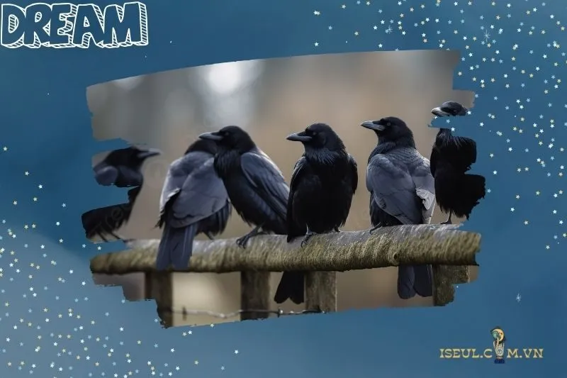 Lời Khuyên Khi Mơ Thấy Bầy Quạ Đen