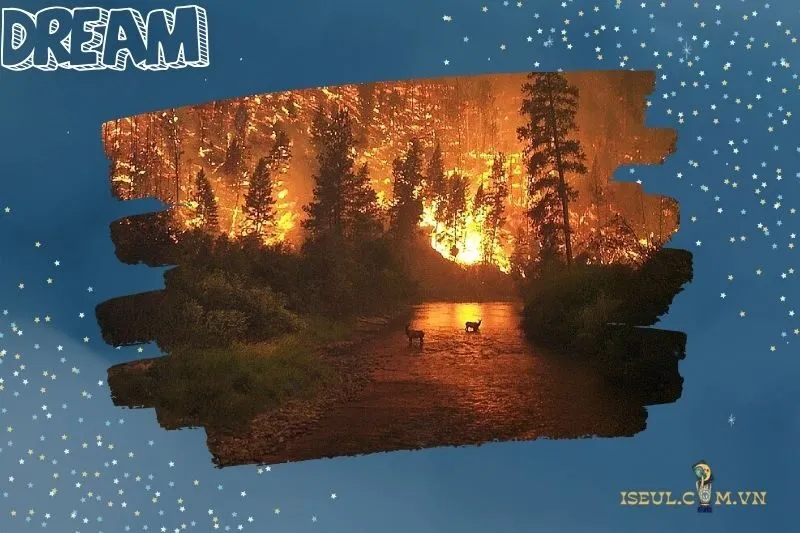 Mơ thấy cháy rừng và con số liên quan